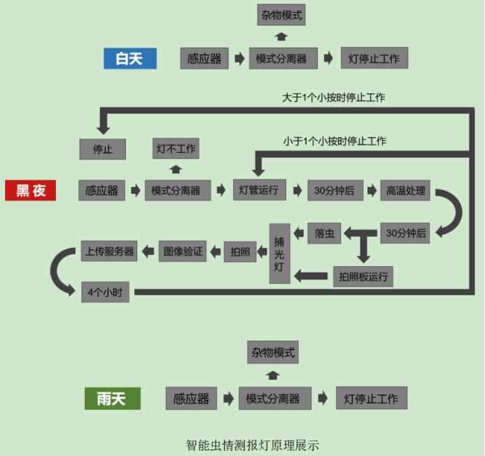 智能蟲情測報(bào)燈